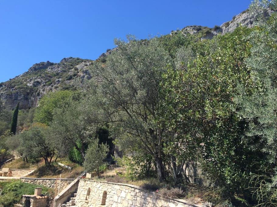 Volx Appartement Sur La Colline Avec Acces Piscine מראה חיצוני תמונה